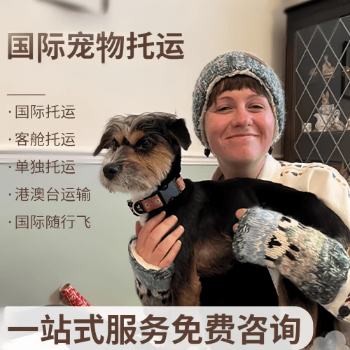 成都市国际宠物托运到阿根廷宠物入境规定和要