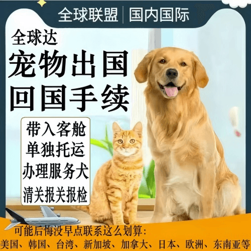 成都市宠物托运到柬埔寨宠物入境规定和要求