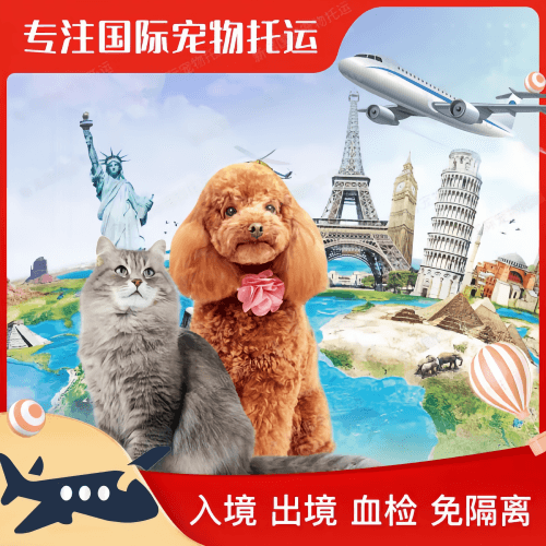 成都市宠物托运到美国宠物入境最新规定和要求