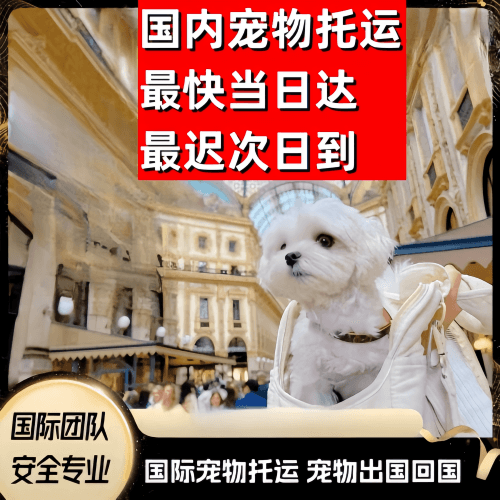 成都市到澳大利亚（澳洲）宠物入境规定和要求