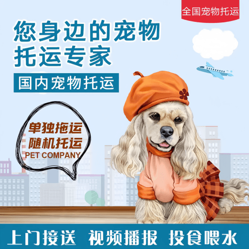 满财成都市宠物全球达宠物托运作为专业的宠物运输代理机构
